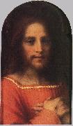 Andrea del Sarto Christ the Redeemer ff Sweden oil painting artist